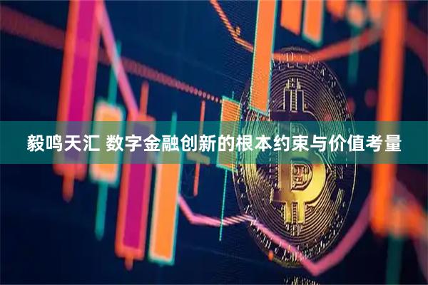 毅鸣天汇 数字金融创新的根本约束与价值考量